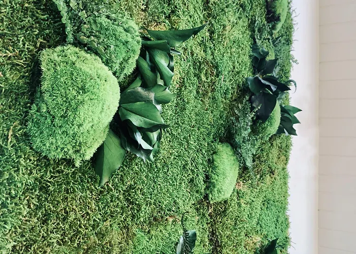 酒店 法兰奇酒店 3*