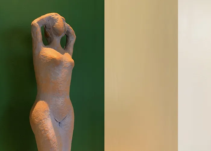 酒店 法兰奇酒店 3*