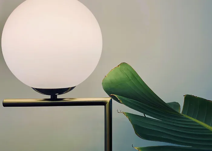 酒店 法兰奇酒店 佛罗伦萨