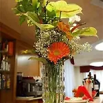 Otel Franchi